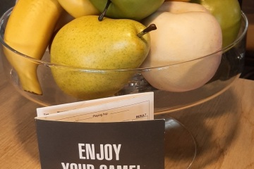 Door: Alice Dingemans