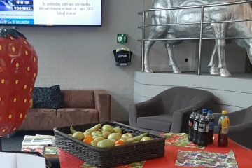 Door: Alice Dingemans