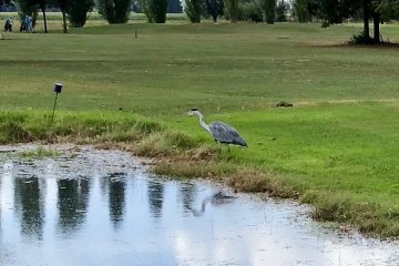 tijdelijk-water-hole-12