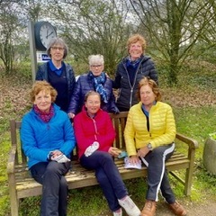 Foto: Stefanie Roosenboom