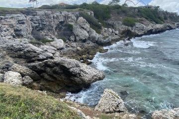 Foto: R. van Brandenburg