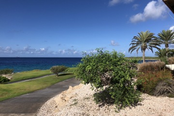 Foto: R. van Brandenburg