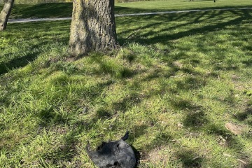 Kun je meer pech hebben?