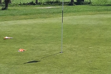 Door Alice Dingemans