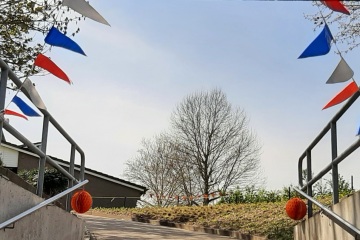 Door Alice Dingemans