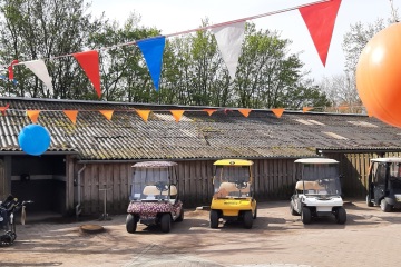 Door Alice Dingemans